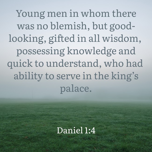 Young men in whom there was no blemish, but good-looking, gifted in all wisdom, possessing knowledge and quick to understand, who had ability to serve in the king’s palace. - Daniel 1:4