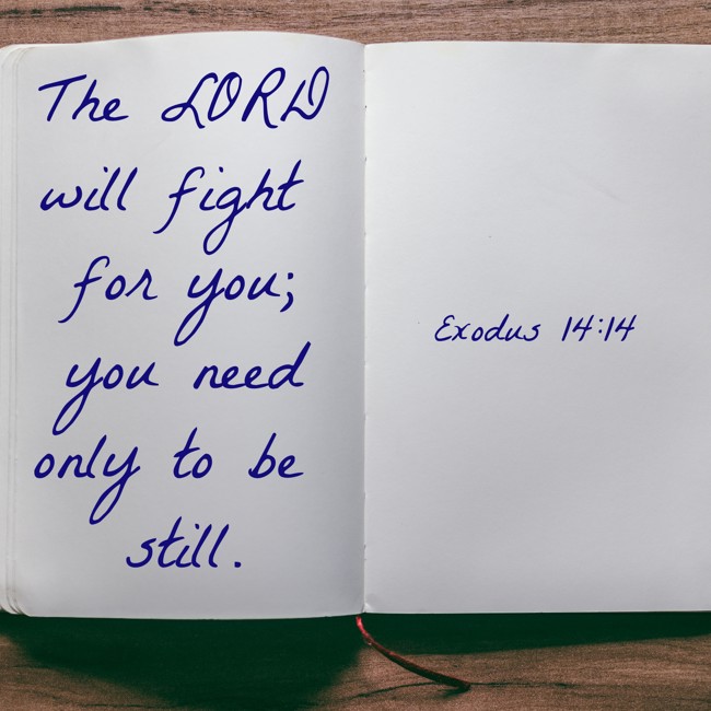 The LORD will fight for you; you need only to be still. - Exodus 14:14