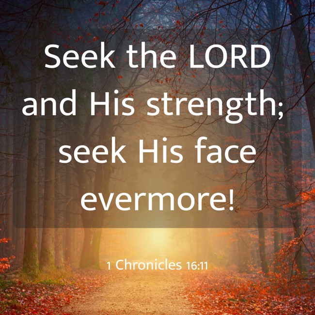 Seek the LORD and His strength; seek His face evermore! - 1 Chronicles 16:11