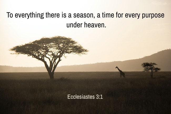 To everything there is a season, a time for every purpose under heaven. - Ecclesiastes 3:1