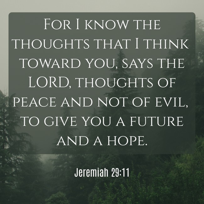 For I know the thoughts that I think toward you, says the LORD, thoughts of peace and not of evil, to give you a future and a hope. - Jeremiah 29:11
