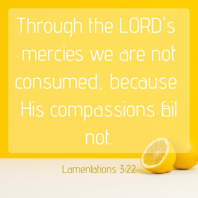 Through the LORD's mercies we are not consumed, because His compassions fail not. - Lamentations 3:22