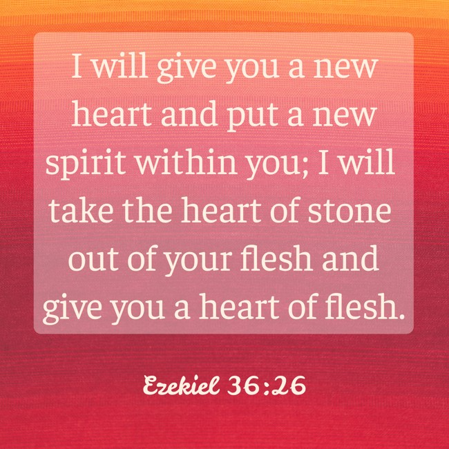 I will give you a new heart and put a new spirit within you; I will take the heart of stone out of your flesh and give you a heart of flesh. - Ezekiel 36:26
