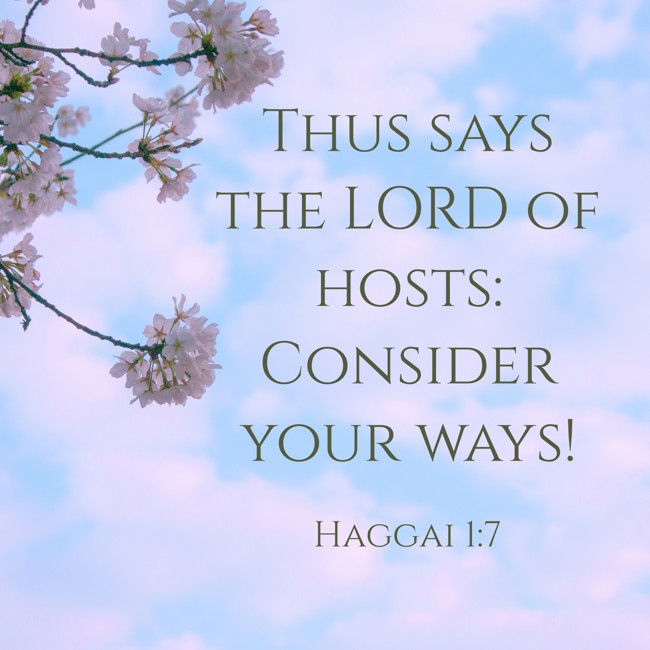 Thus says the LORD of hosts: Consider your ways! - Haggai 1:7