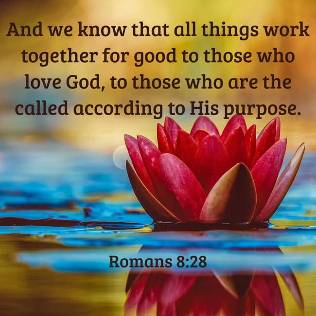 And we know that all things work together for good to those who love God, to those who are the called according to His purpose. - Romans 8:28
