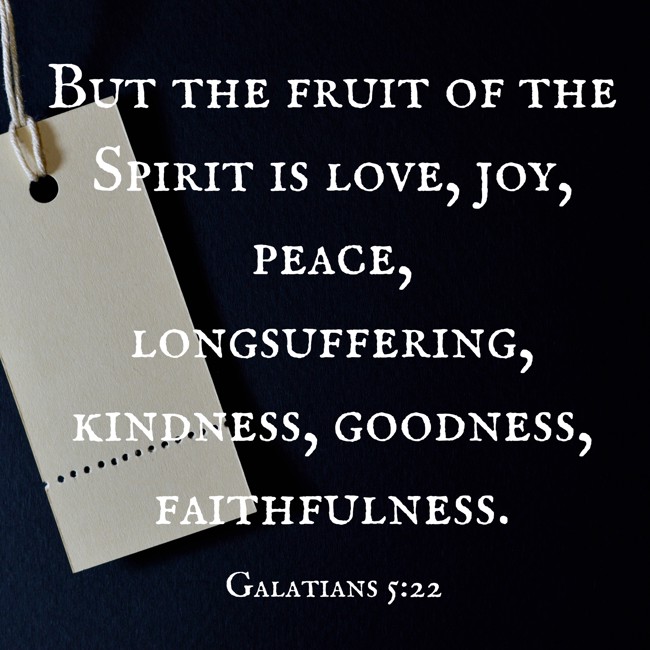 But the fruit of the Spirit is love, joy, peace, longsuffering, kindness, goodness, faithfulness. - Galatians 5:22