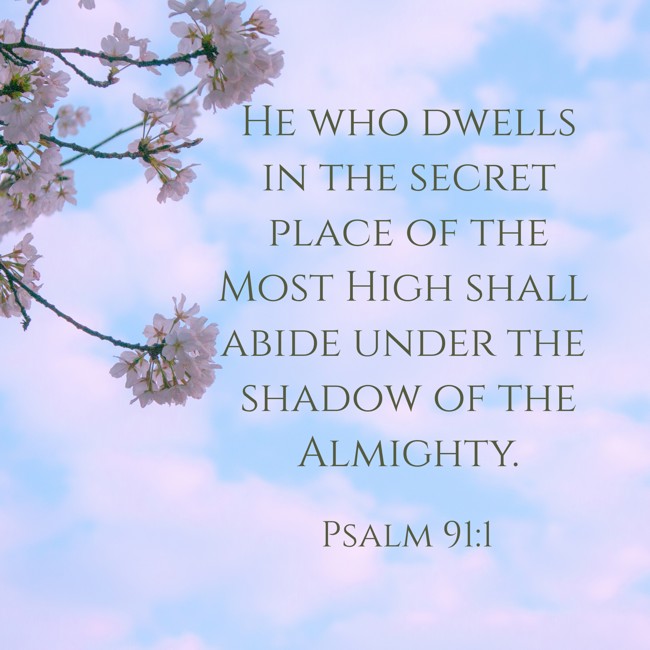 He who dwells in the secret place of the Most High shall abide under the shadow of the Almighty. - Psalm 91:1