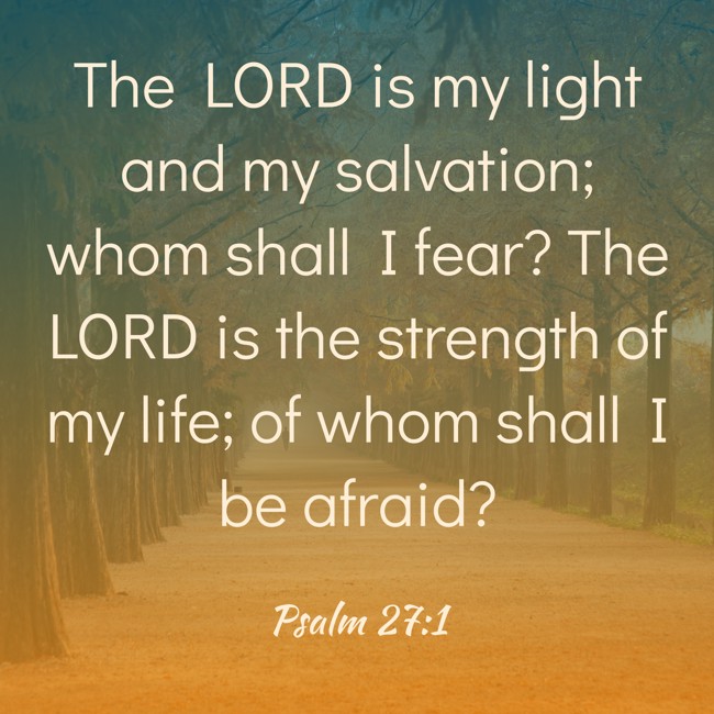 The LORD is my light and my salvation; whom shall I fear? The LORD is the strength of my life; of whom shall I be afraid? - Psalm 27:1