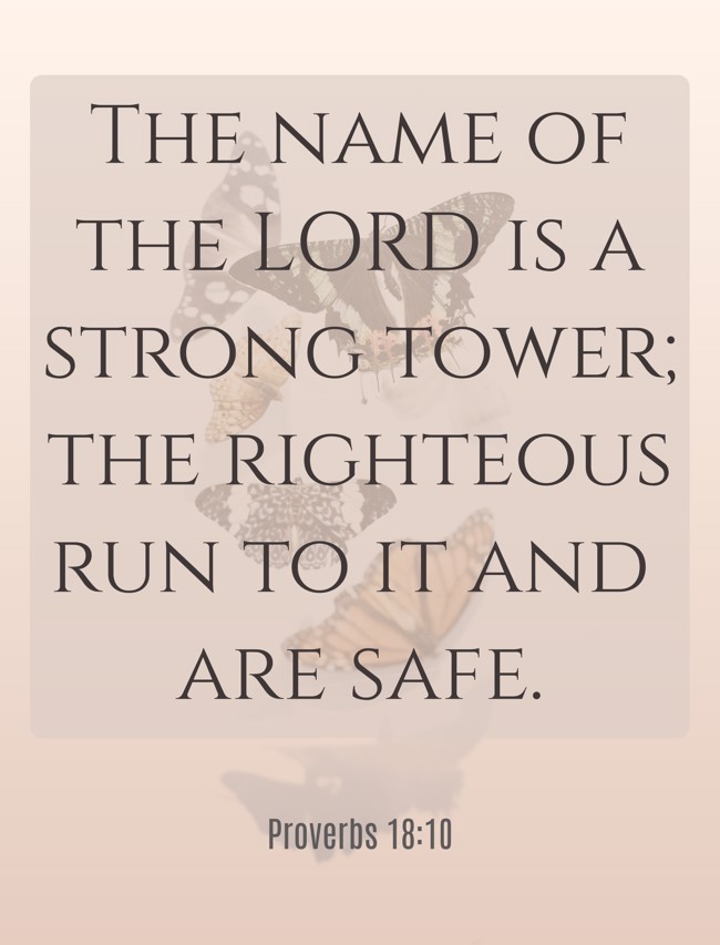 The name of the LORD is a strong tower; the righteous run to it and are safe. - Proverbs 18:10