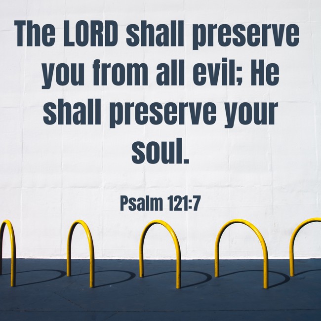 The LORD shall preserve you from all evil; He shall preserve your soul. - Psalm 121:7
