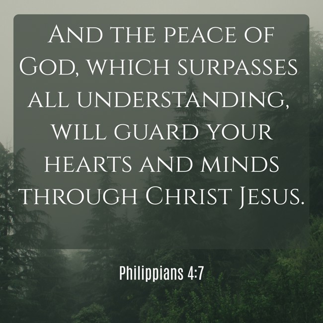 And the peace of God, which surpasses all understanding, will guard your hearts and minds through Christ Jesus. - Philippians 4:7