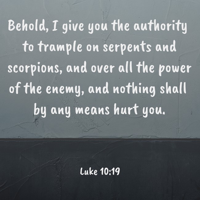 Behold, I give you the authority to trample on serpents and scorpions, and over all the power of the enemy, and nothing shall by any means hurt you. - Luke 10:19