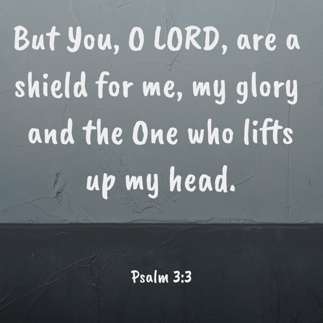 But You, O LORD, are a shield for me, my glory and the One who lifts up my head. - Psalm 3:3
