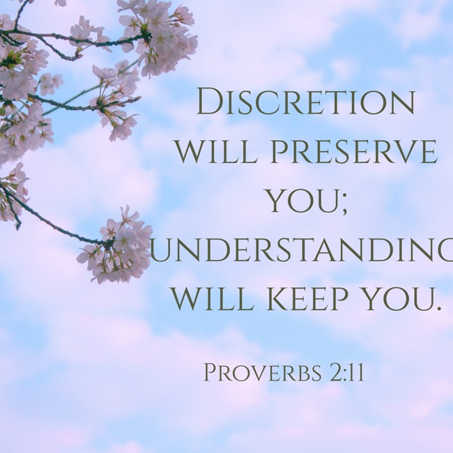 Discretion will preserve you; understanding will keep you. - Proverbs 2:11