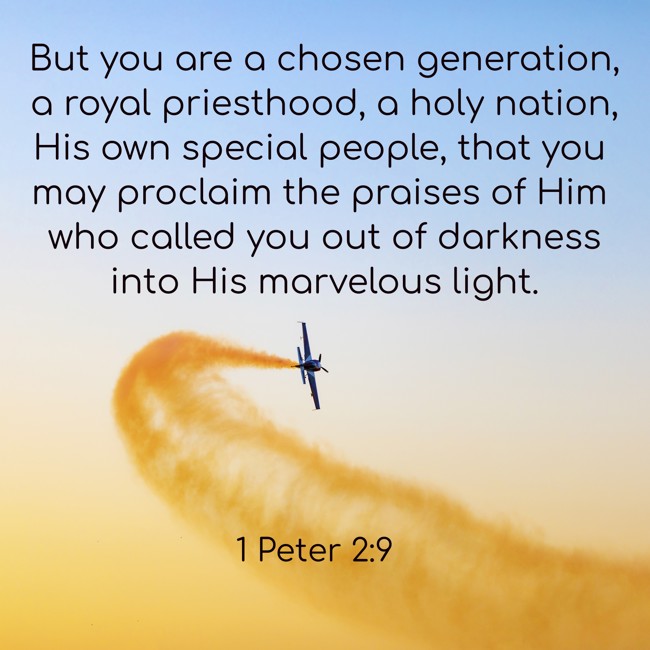 But you are a chosen generation, a royal priesthood, a holy nation, His own special people, that you may proclaim the praises of Him who called you out of darkness into His marvelous light. - 1 Peter 2:9