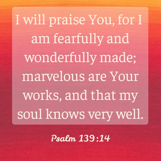I will praise You, for I am fearfully and wonderfully made; marvelous are Your works, and that my soul knows very well. - Psalm 139:14