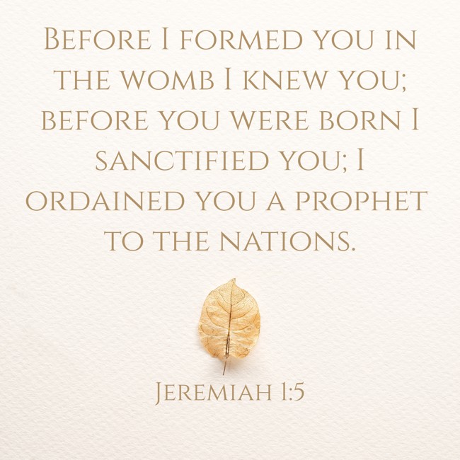 Before I formed you in the womb I knew you; before you were born I sanctified you; I ordained you a prophet to the nations. - Jeremiah 1:5