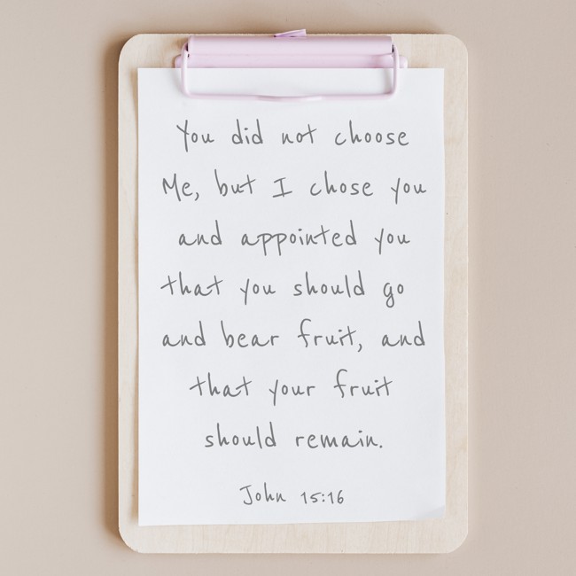 You did not choose Me, but I chose you and appointed you that you should go and bear fruit, and that your fruit should remain. - John 15:16