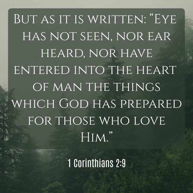 But as it is written: “Eye has not seen, nor ear heard, nor have entered into the heart of man the things which God has prepared for those who love Him.” - 1 Corinthians 2:9