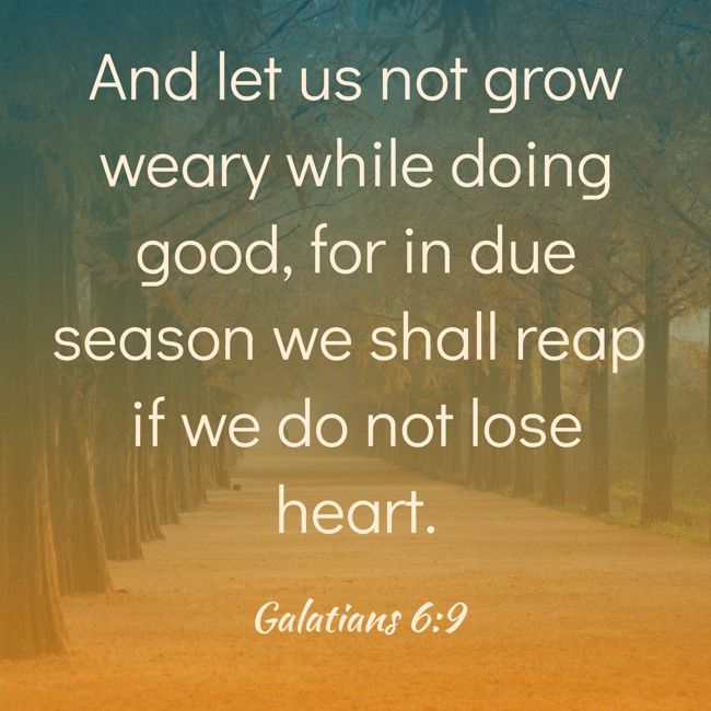 And let us not grow weary while doing good, for in due season we shall reap if we do not lose heart. - Galatians 6:9