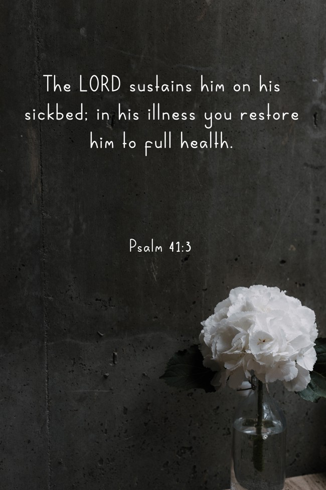The LORD sustains him on his sickbed; in his illness you restore him to full health. - Psalm 41:3