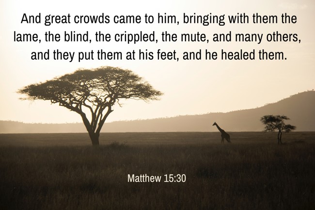 And great crowds came to him, bringing with them the lame, the blind, the crippled, the mute, and many others, and they put them at his feet, and he healed them. - Matthew 15:30