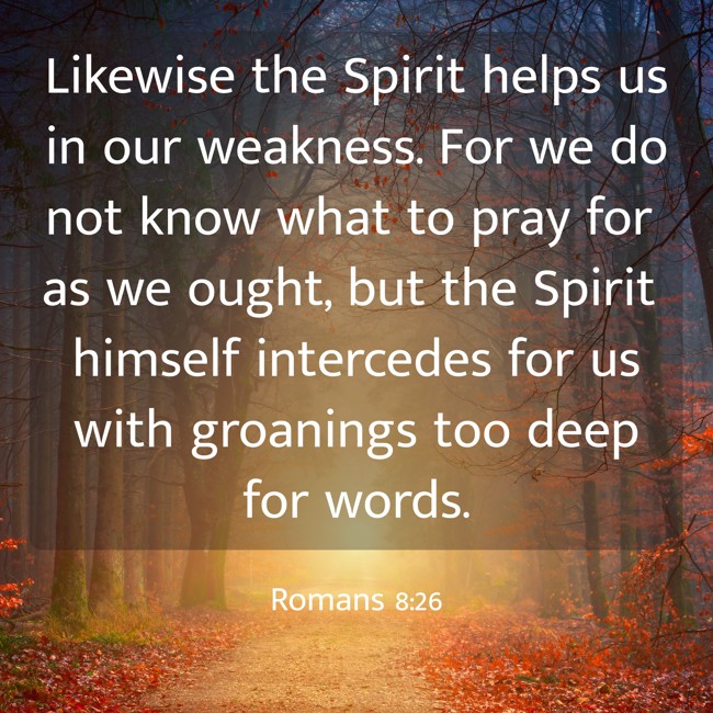 Likewise the Spirit helps us in our weakness. For we do not know what to pray for as we ought, but the Spirit himself intercedes for us with groanings too deep for words. - Romans 8:26