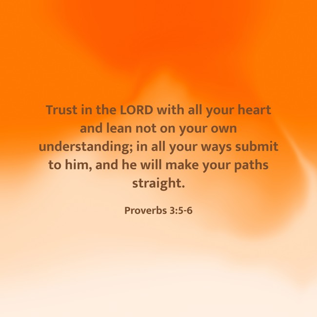 Trust in the LORD with all your heart and lean not on your own understanding; in all your ways submit to him, and he will make your paths straight. - Proverbs 3:5-6