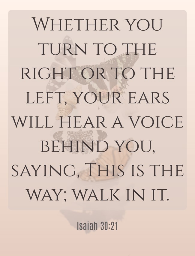 Whether you turn to the right or to the left, your ears will hear a voice behind you, saying, This is the way; walk in it. - Isaiah 30:21