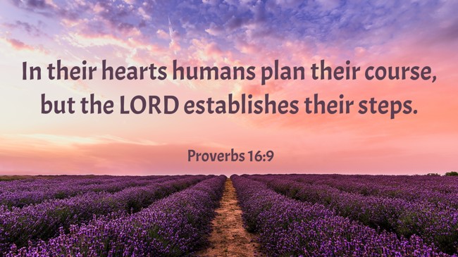 In their hearts humans plan their course, but the LORD establishes their steps. - Proverbs 16:9