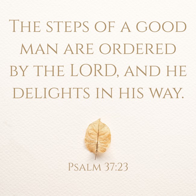 The steps of a good man are ordered by the LORD, and he delights in his way. - Psalm 37:23