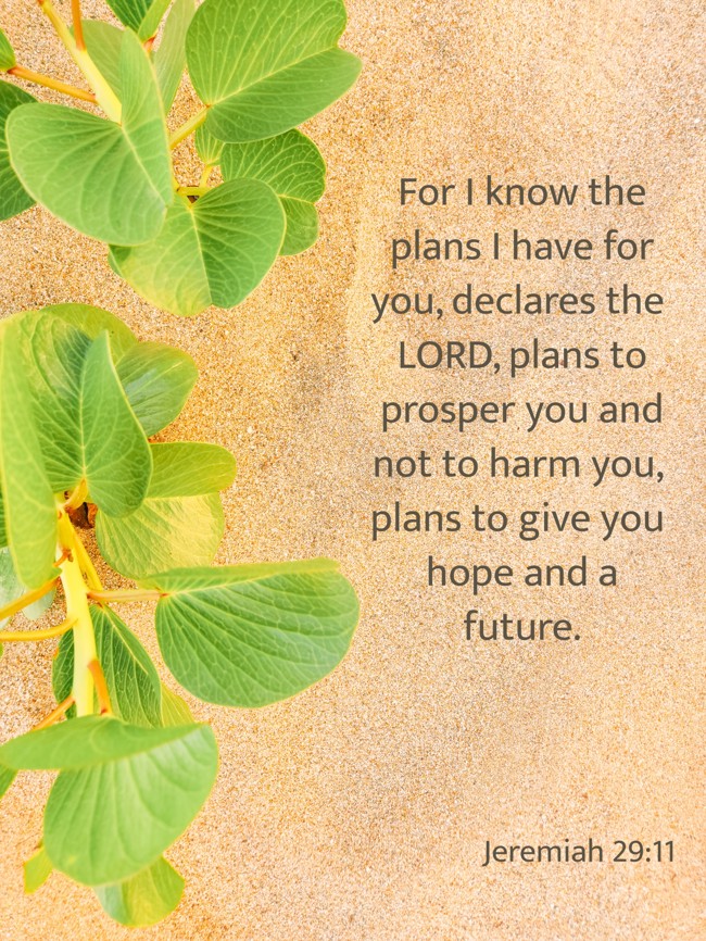 For I know the plans I have for you, declares the LORD, plans to prosper you and not to harm you, plans to give you hope and a future. - Jeremiah 29:11