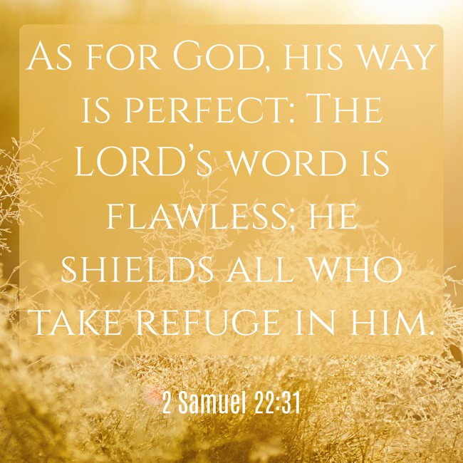 As for God, his way is perfect: The LORD’s word is flawless; he shields all who take refuge in him. - 2 Samuel 22:31