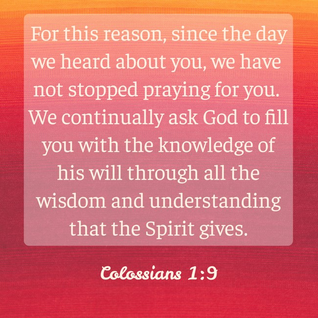 For this reason, since the day we heard about you, we have not stopped praying for you. We continually ask God to fill you with the knowledge of his will through all the wisdom and understanding that the Spirit gives. - Colossians 1:9