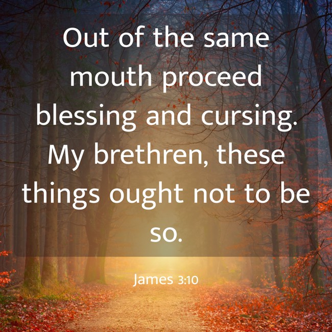 Out of the same mouth proceed blessing and cursing. My brethren, these things ought not to be so. - James 3:10