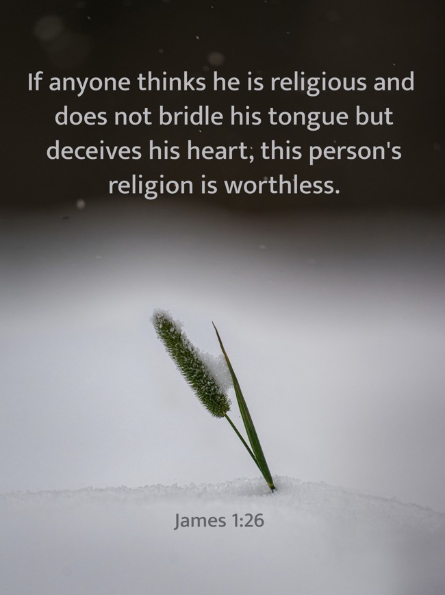 If anyone thinks he is religious and does not bridle his tongue but deceives his heart, this person's religion is worthless. - James 1:26