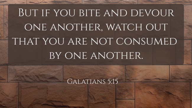But if you bite and devour one another, watch out that you are not consumed by one another. - Galatians 5:15