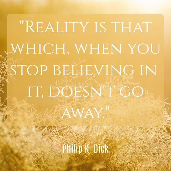 Reality is that which, when you stop believing in it, doesn't go away. - Philip K. Dick