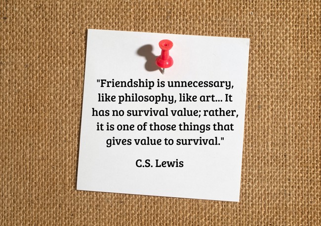 Friendship is unnecessary, like philosophy, like art... It has no survival value; rather, it is one of those things that gives value to survival. - C.S. Lewis