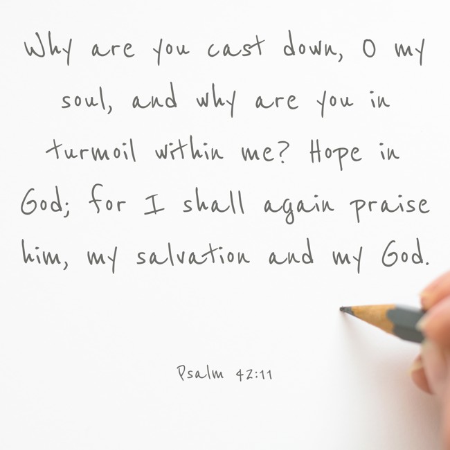 Why are you cast down, O my soul, and why are you in turmoil within me? Hope in God; for I shall again praise him, my salvation and my God. - Psalm 42:11