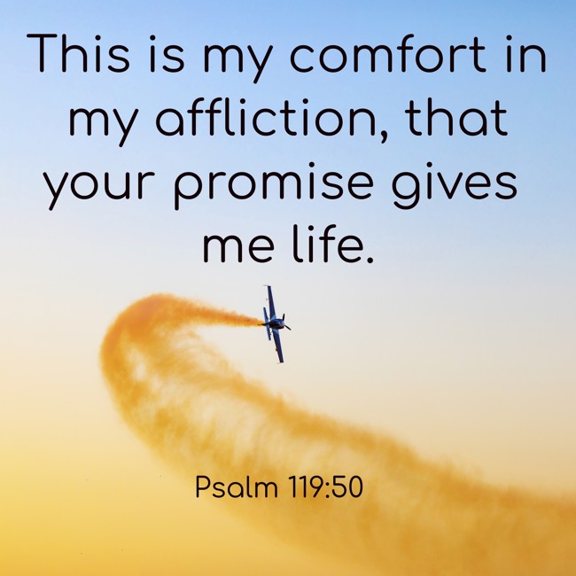 This is my comfort in my affliction, that your promise gives me life. - Psalm 119:50