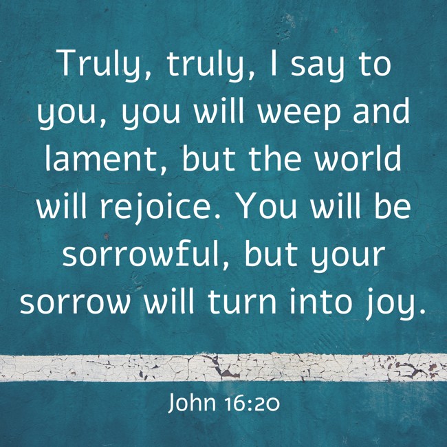 Truly, truly, I say to you, you will weep and lament, but the world will rejoice. You will be sorrowful, but your sorrow will turn into joy. - John 16:20