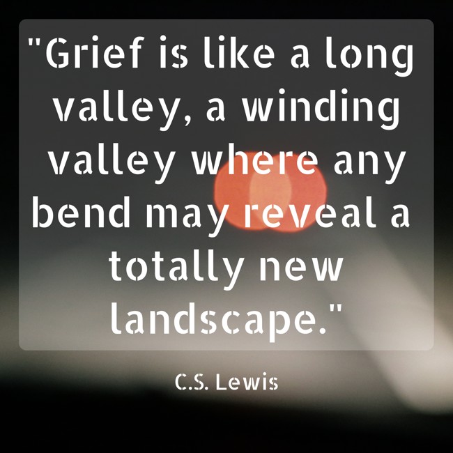 Grief is like a long valley, a winding valley where any bend may reveal a totally new landscape. - C.S. Lewis