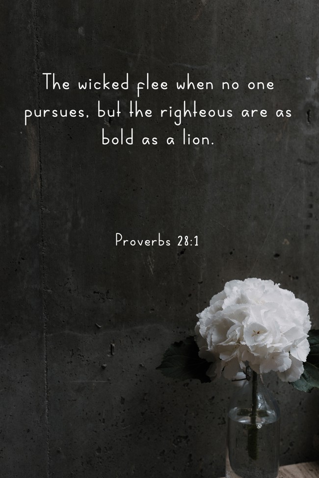 The wicked flee when no one pursues, but the righteous are as bold as a lion. - Proverbs 28:1