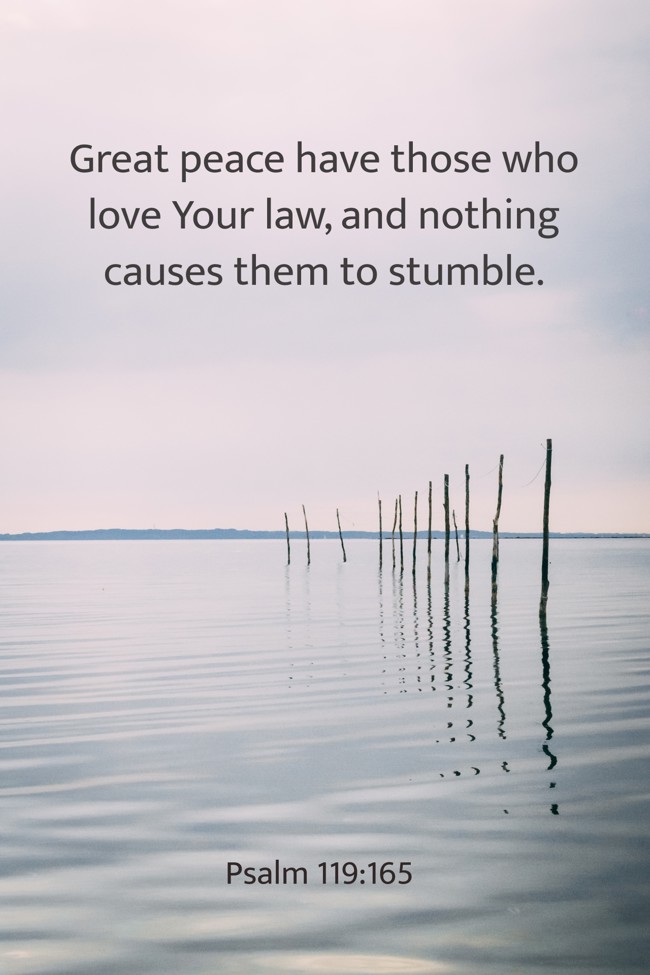 Great peace have those who love Your law, and nothing causes them to stumble. - Psalm 119:165