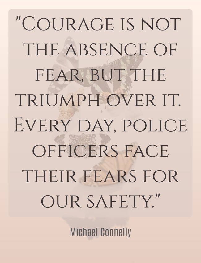 Courage is not the absence of fear, but the triumph over it. Every day, police officers face their fears for our safety. - Michael Connelly