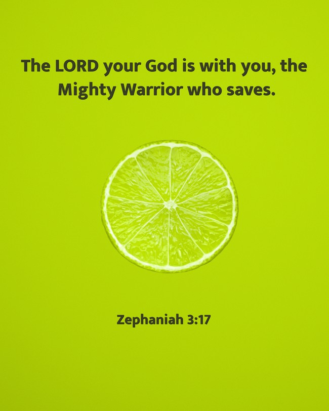  The LORD your God is with you, the Mighty Warrior who saves.   - Zephaniah 3:17 