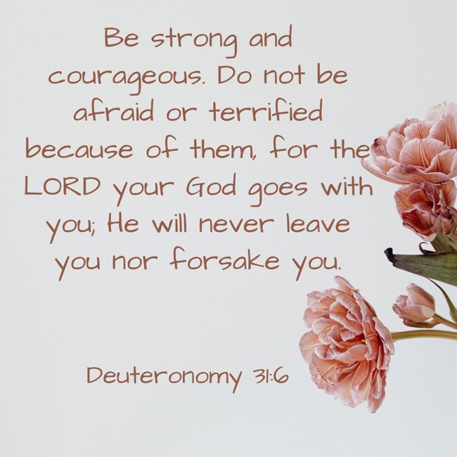  Be strong and courageous. Do not be afraid or terrified because of them, for the LORD your God goes with you; He will never leave you nor forsake you.   - Deuteronomy 31:6 