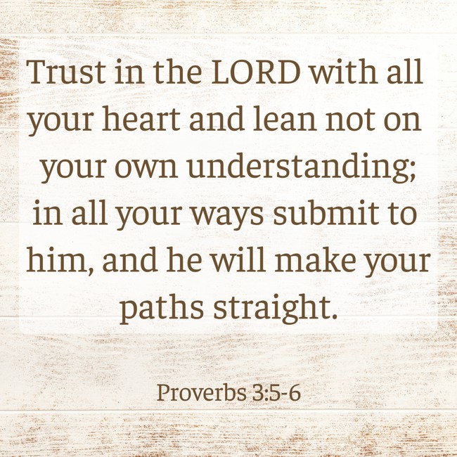  Trust in the LORD with all your heart and lean not on your own understanding; in all your ways submit to him, and he will make your paths straight.   - Proverbs 3:5-6 
