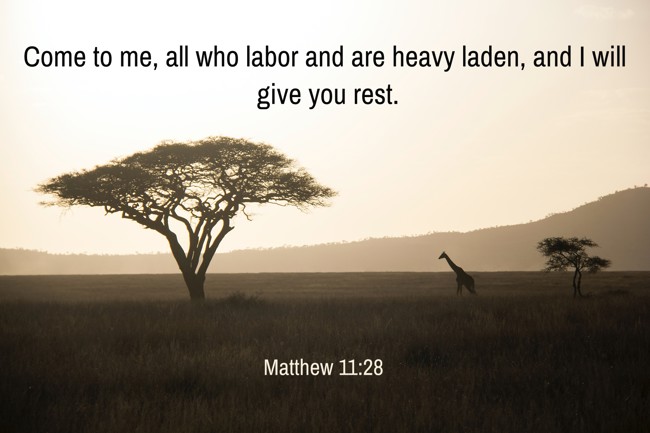 Come to me, all who labor and are heavy laden, and I will give you rest. - Matthew 11:28